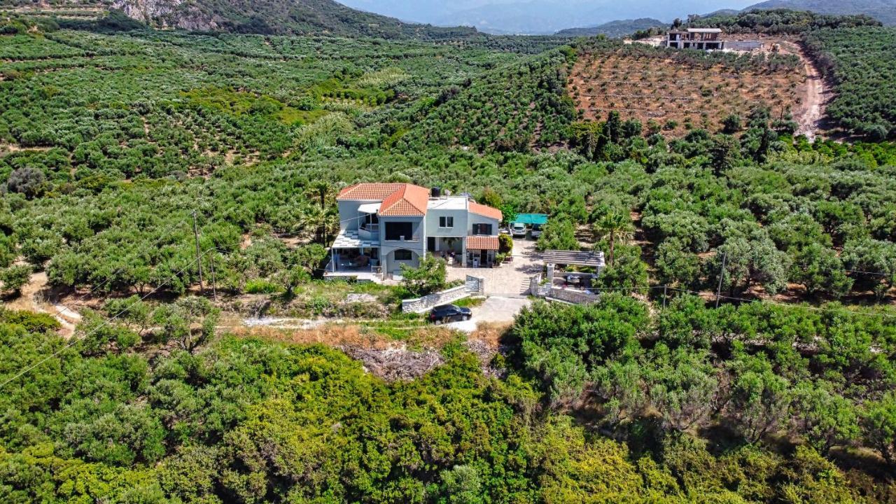 Venizelos Studios Платаньяс Экстерьер фото